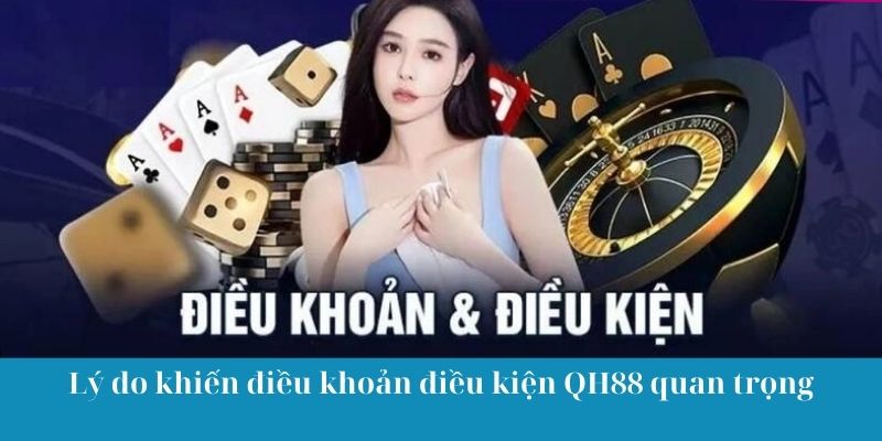 Lý do khiến điều khoản điều kiện QH88 quan trọng