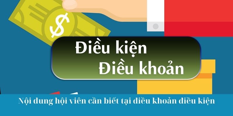 Nội dung hội viên cần biết tại điều khoản điều kiện