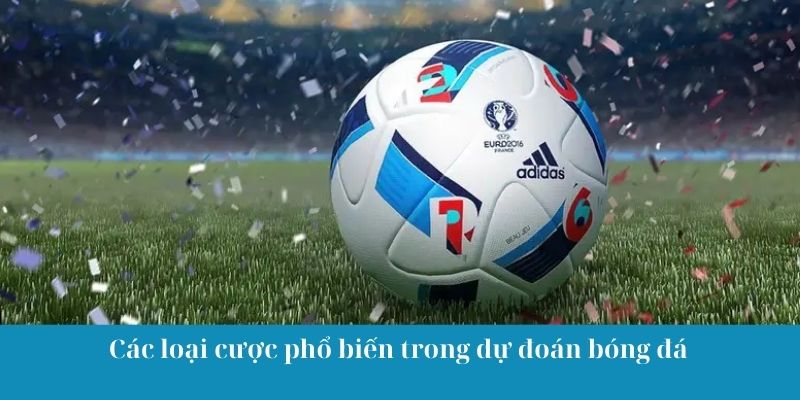 Các loại cược phổ biến trong dự đoán bóng đá